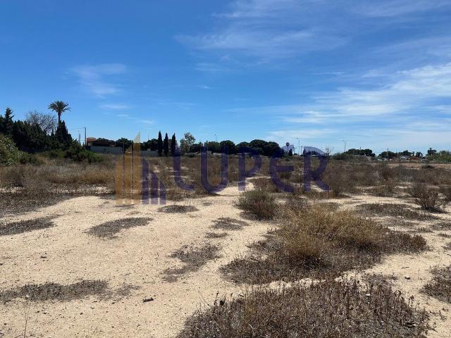 Terreno en alquiler en Sant Joan D'alacant