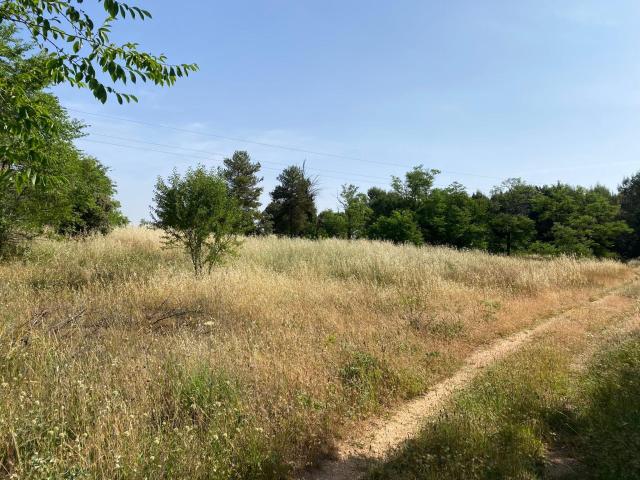 Terreno en venta en Nuevo Baztán, Madrid