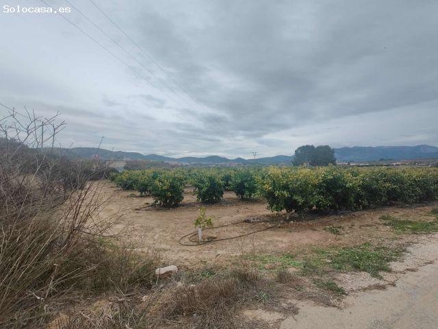 Local Comercial en venta en Río Mula, Murcia