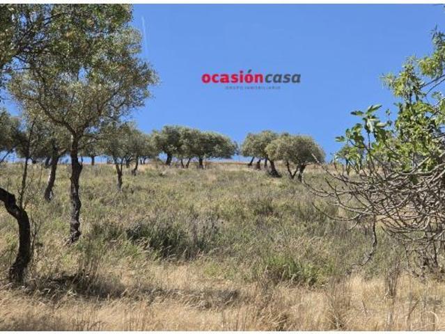 Local Comercial en venta en Peñarroya-pueblonuevo, Andalucía
