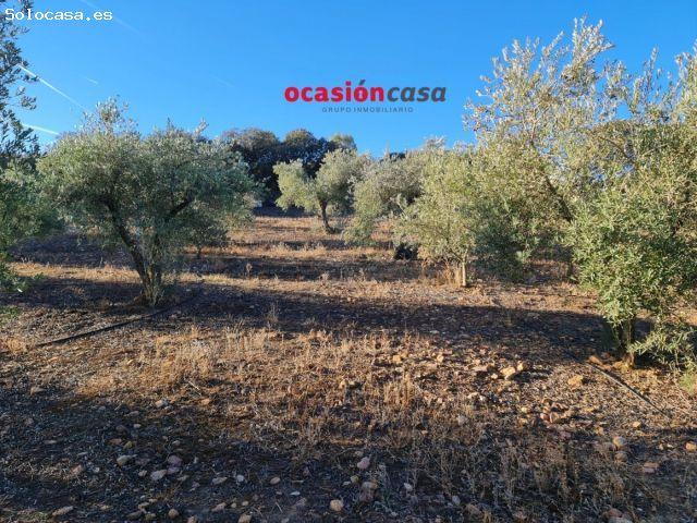 Local Comercial en venta en La Granjuela, Andalucía
