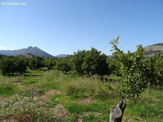 Local Comercial en venta en Alcalalí, Urbanització Vereda Park