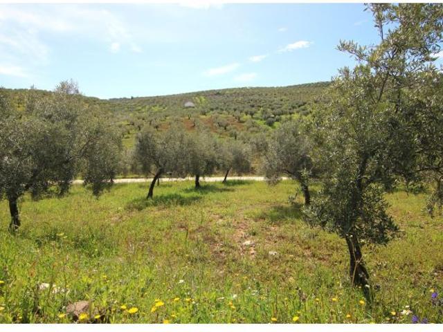Local Comercial en venta en Alozaina