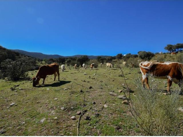 Local Comercial en venta en Comarca de Guadix, Andalucía