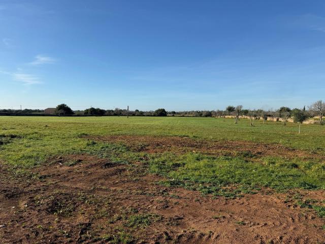 Terreno en venta en s'Horta, Migjorn