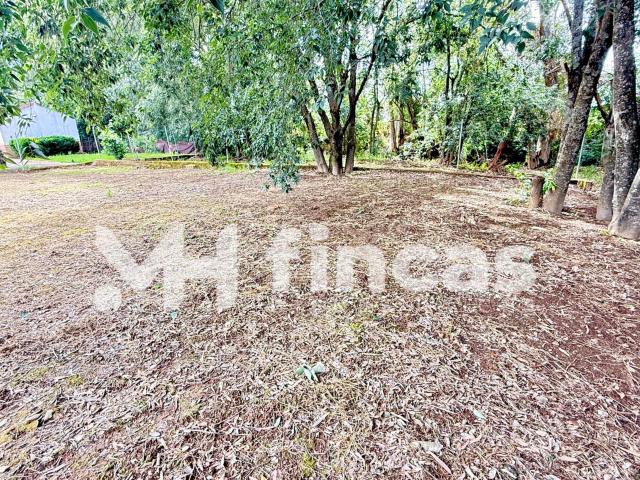 Terreno en venta en Almodóvar Del Río, Andalucía