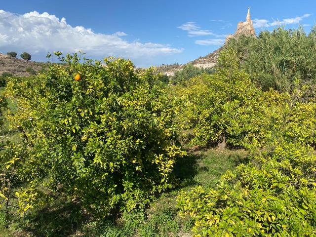 Terreno en venta en Monteagudo, Área Metropolitana de Murcia