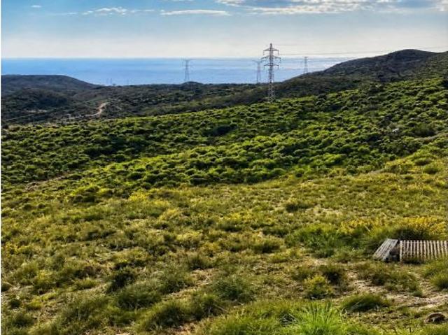 Local Comercial en venta en Rincones, Bajo Guadalentín