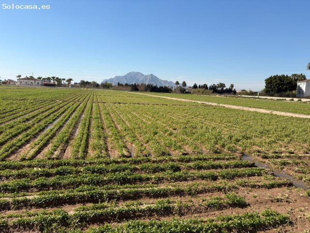 Local Comercial en venta en el Baix Segura / La Vega Baja, Valencia