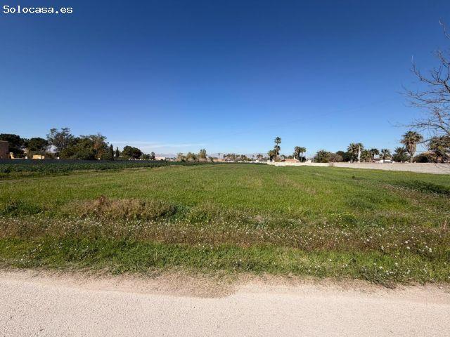Local Comercial en venta en el Baix Segura / La Vega Baja, Valencia