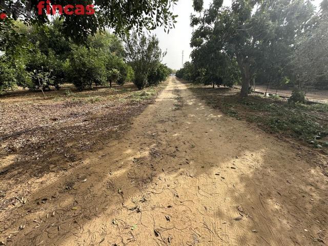 Casa en venta en Utrera, Andalucía
