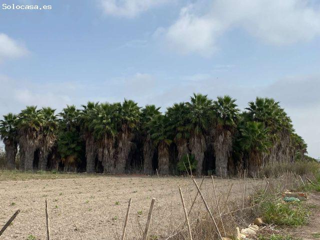 Local Comercial en venta en Elche De La Sierra, Castilla-La Mancha