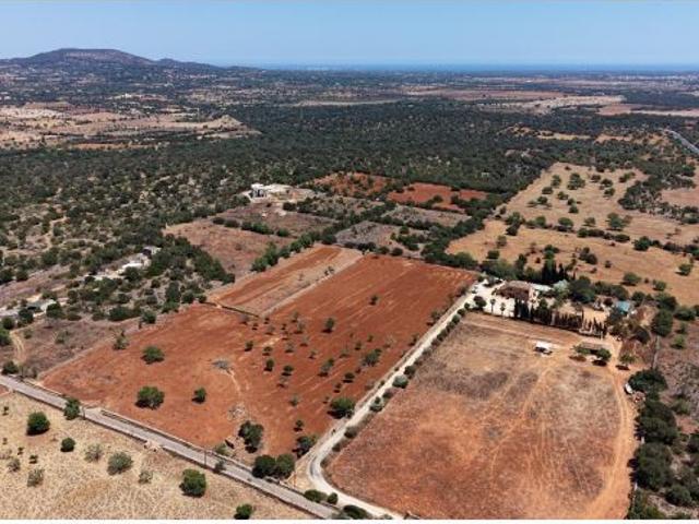 Local Comercial en venta en Migjorn, Baleares