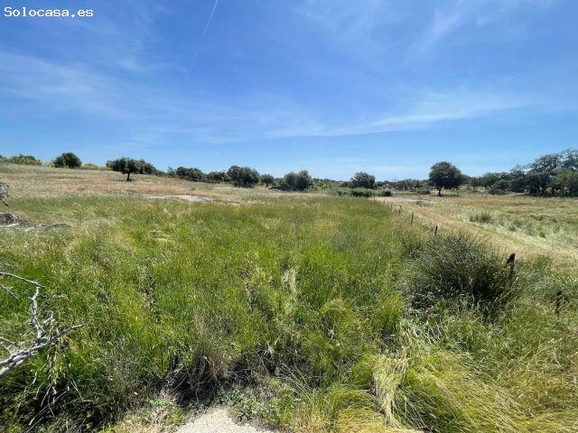 Local Comercial en venta en Arroyo De La Luz, Extremadura