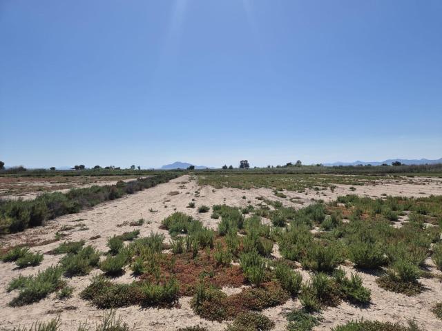 Terreno en venta en la Foia, el Baix Vinalopó