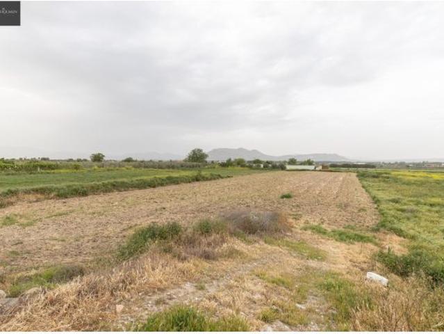 Local Comercial en venta en Casas Bajas, Comarca de la Vega de Granada