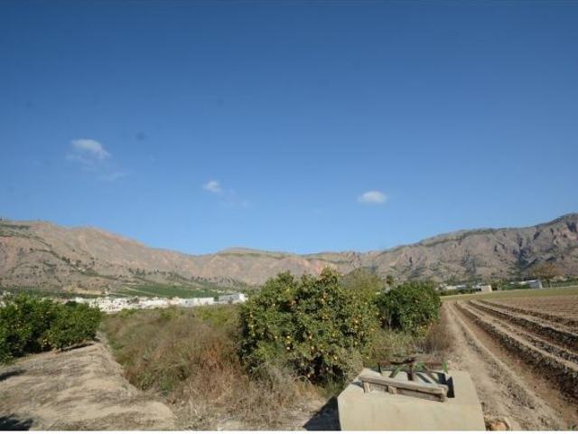 Local Comercial en venta en Raiguero de Bonanza, el Baix Segura / La Vega Baja