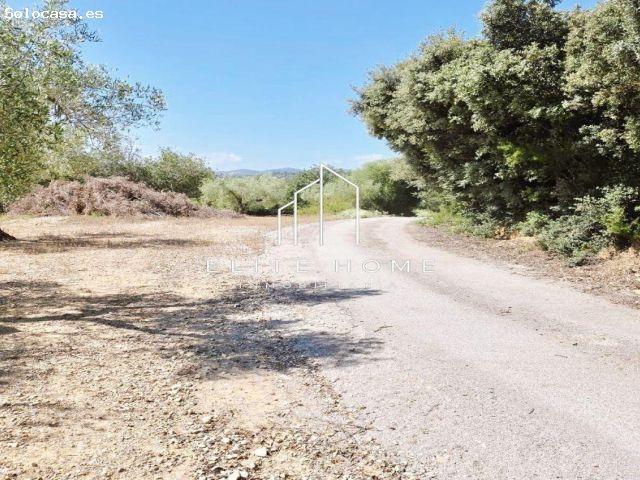 Local Comercial en venta en el Baix Maestrat, Valencia