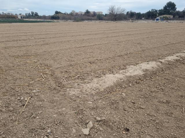 Terreno en venta en Urbanització Els Estanys, el Baix Segura / La Vega Baja