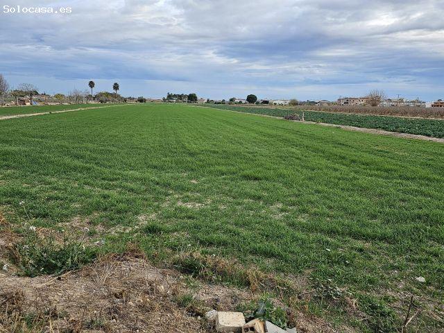 Local Comercial en venta en el Baix Segura / La Vega Baja, Valencia
