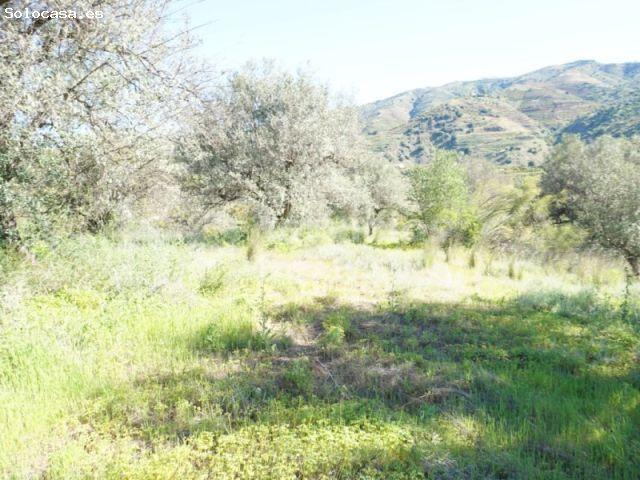 Local Comercial en venta en La Axarquía, Andalucía