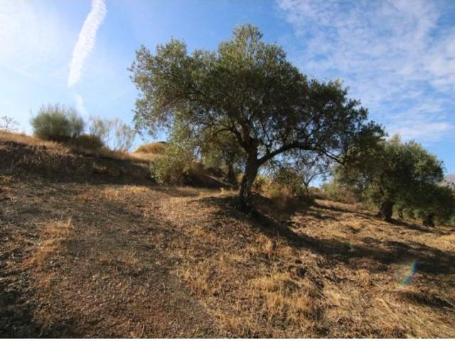 Local Comercial en venta en Sierra de las Nieves, Andalucía