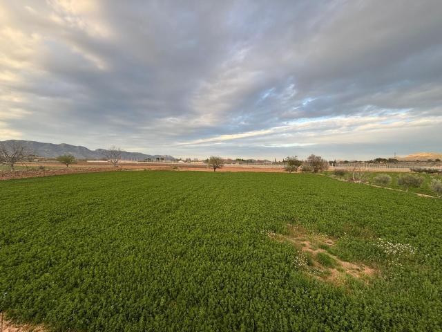 Terreno en venta en La Buenavista, Noroeste