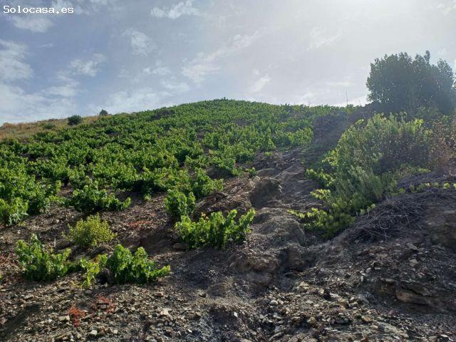Local Comercial en venta en La Axarquía, Andalucía