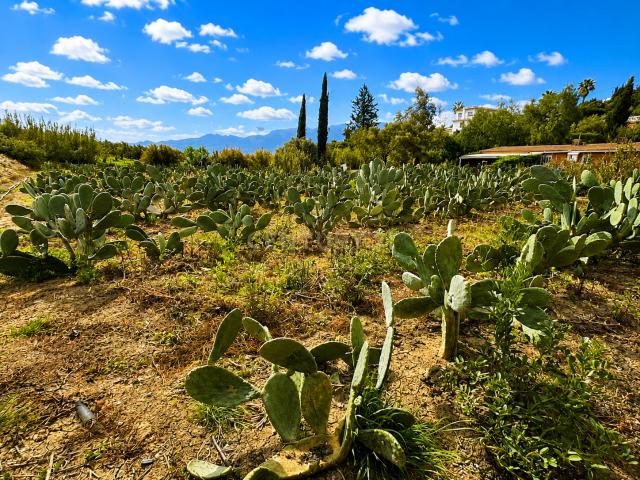 Terreno en venta en Villafranco del Guadalhorce, Valle del Guadalhorce