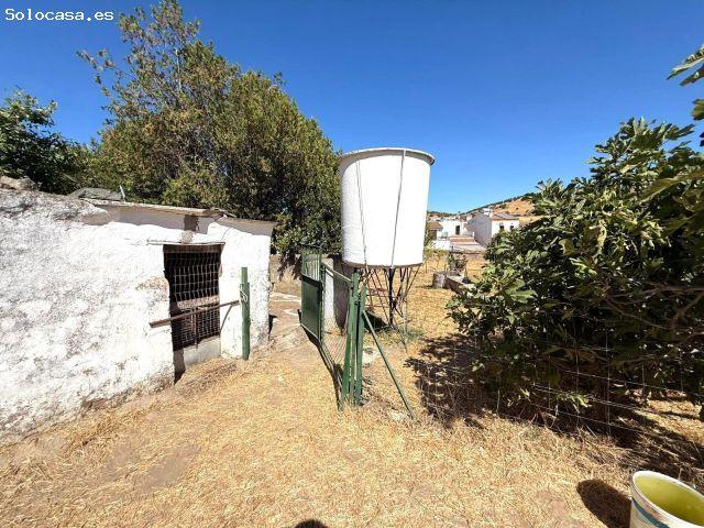 Local Comercial en venta en Almadén De La Plata, Andalucía