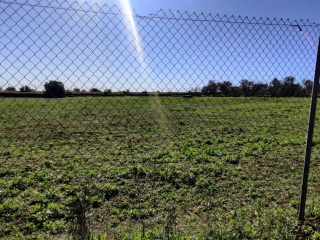 Terreno en venta en Almensilla, Andalucía