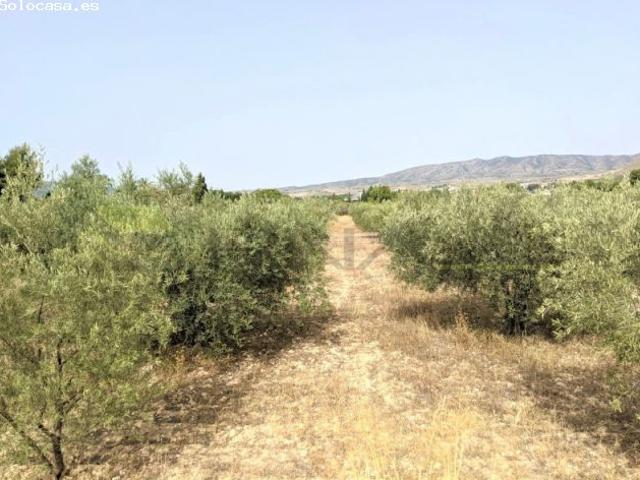 Local Comercial en venta en Prosperidad, el Vinalopó Mitjà / El Vinalopó Medio