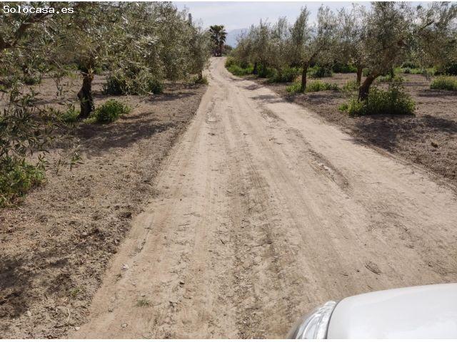Local Comercial en venta en Comarca de la Vega de Granada, Andalucía
