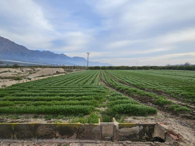 Terreno en venta en Santomera, Área Metropolitana de Murcia