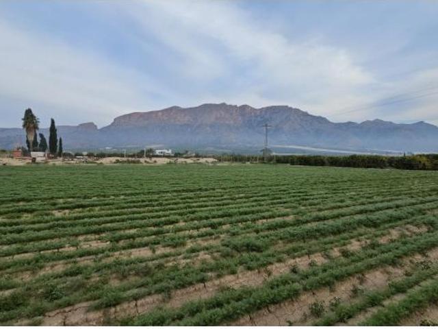 Local Comercial en venta en Siscar, Área Metropolitana de Murcia
