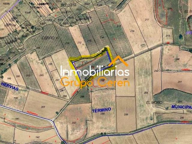 Terreno en venta en Cirueña, La Rioja