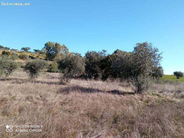 Local Comercial en venta en La Codosera