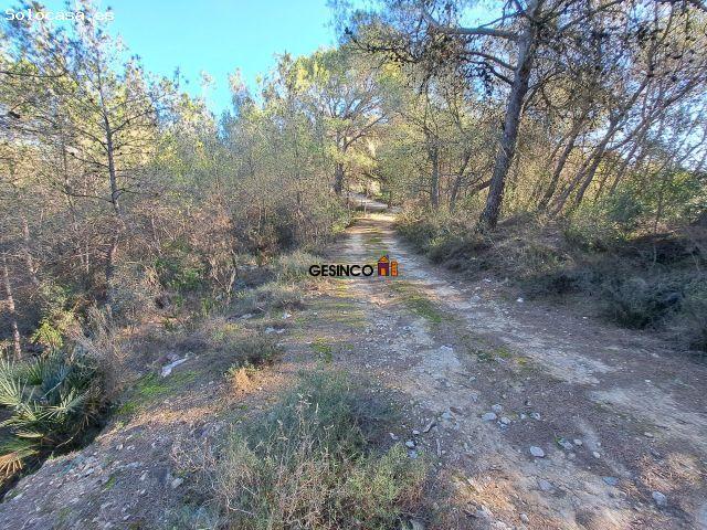 Local Comercial en venta en la Ribera Alta, Valencia