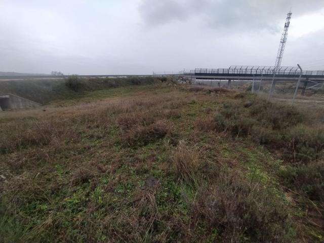 Terreno en venta en Garrovillas De Alconétar, Extremadura