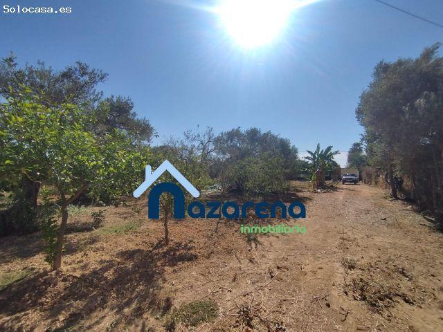 Local Comercial en venta en El Nevero, Alcalá De Guadaíra