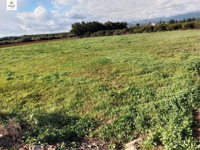 Terreno en venta en Llubí Terreno en venta en Llubí