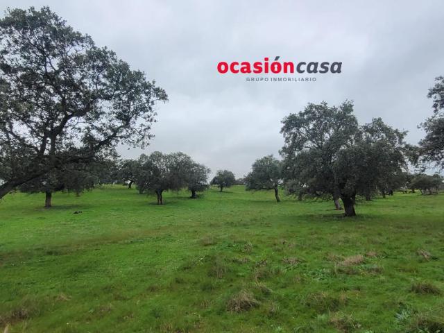 Chalet en venta en Pedroche, Andalucía