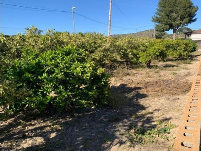 Local Comercial en venta en Zarandona, Área Metropolitana de Murcia