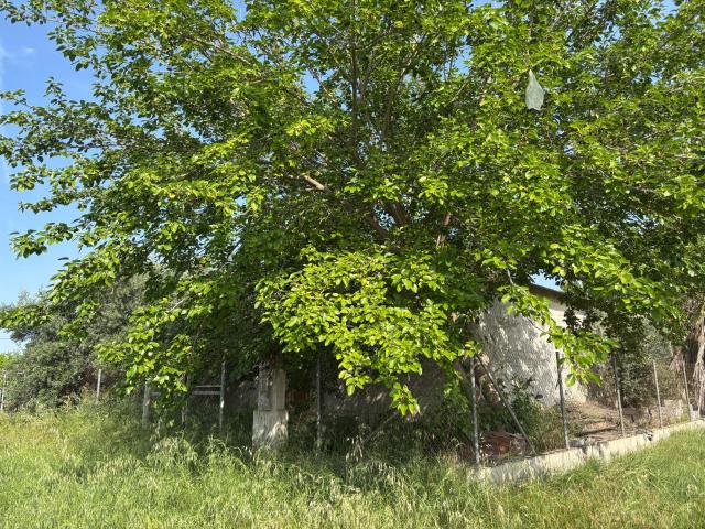 Terreno en venta en Lugar de Casillas o Ermita de Buendia, Área Metropolitana de Murcia