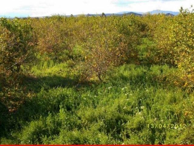 Terreno en venta en Torreagüera, Área Metropolitana de Murcia