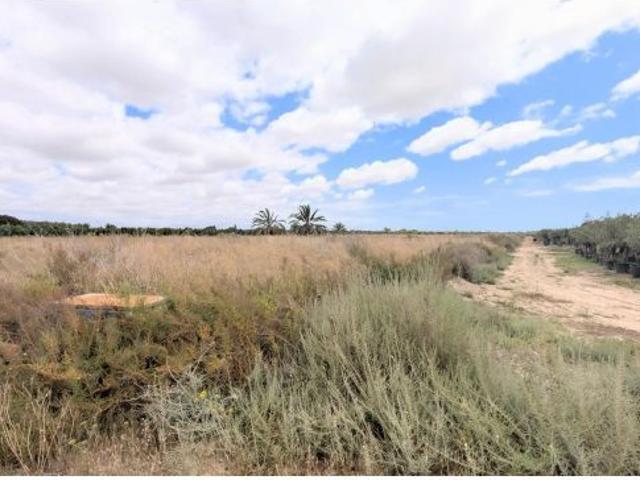 Local Comercial en venta en el Baix Vinalopó, Valencia