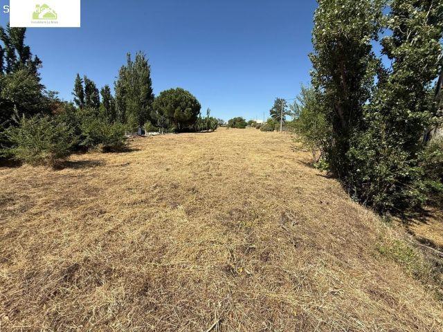 Local Comercial en venta en Morales Del Vino, Castilla y León