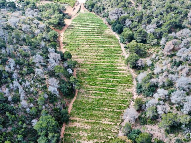 Terreno en venta en A Fonsagrada, Alfinac
