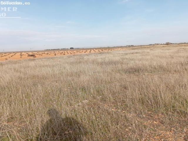 Local Comercial en venta en Ossa De Montiel, Castilla-La Mancha