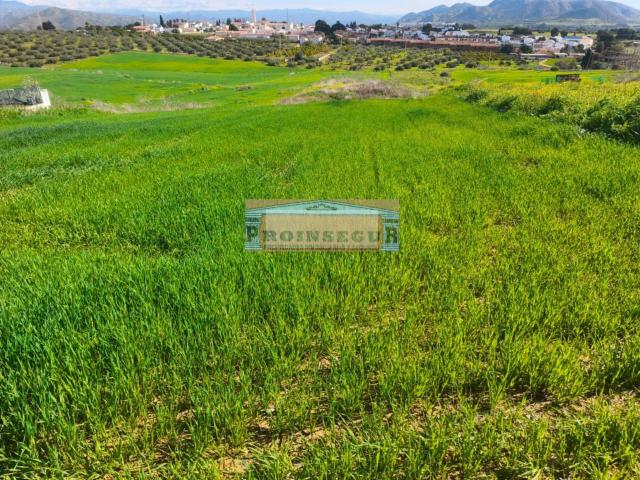Terreno en venta en Barrio de San Antón, Valle del Guadalhorce